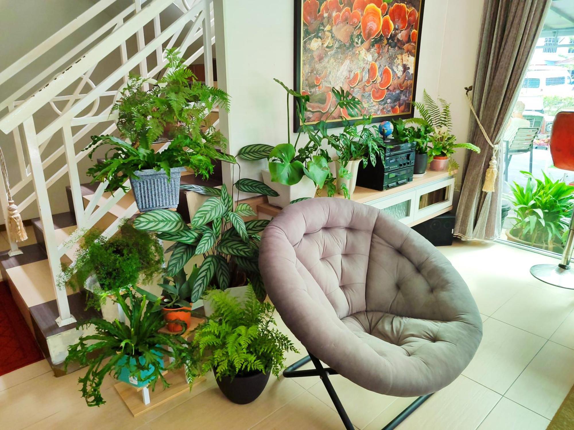 Rovers Inn Guesthouse - Age 11 And Above Only (Adults Only) Tanah Rata Zewnętrze zdjęcie